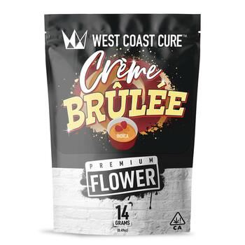 Creme Brulee - 14G Premium Flower