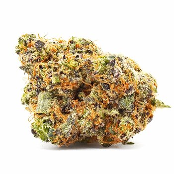 Orange Leaf Gorilla Glue 28G