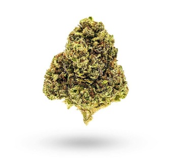 Gelato 33 (24% THC) /// 14G