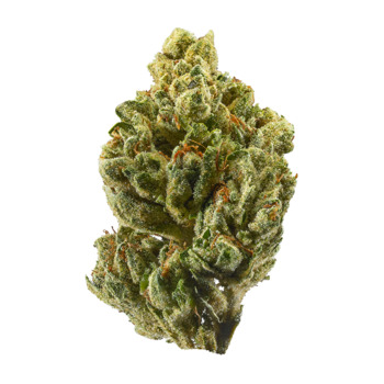 OG Kush 14 G