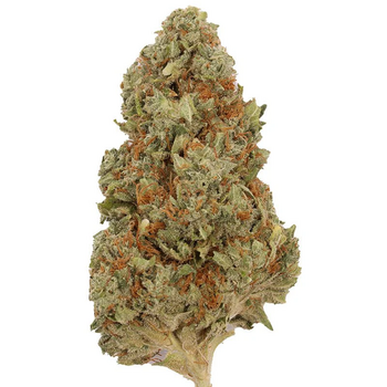 Orange Leaf Gas OG 28G