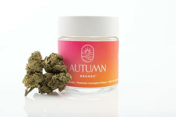 3.5g Julius Caesar (Hybrid)