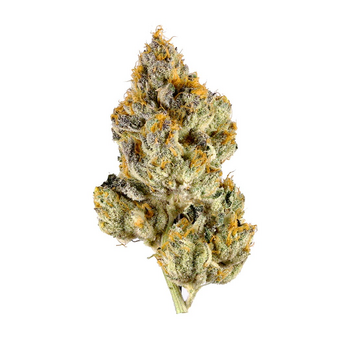 OG - ( INDOOR - TOP SHELF) 14 G